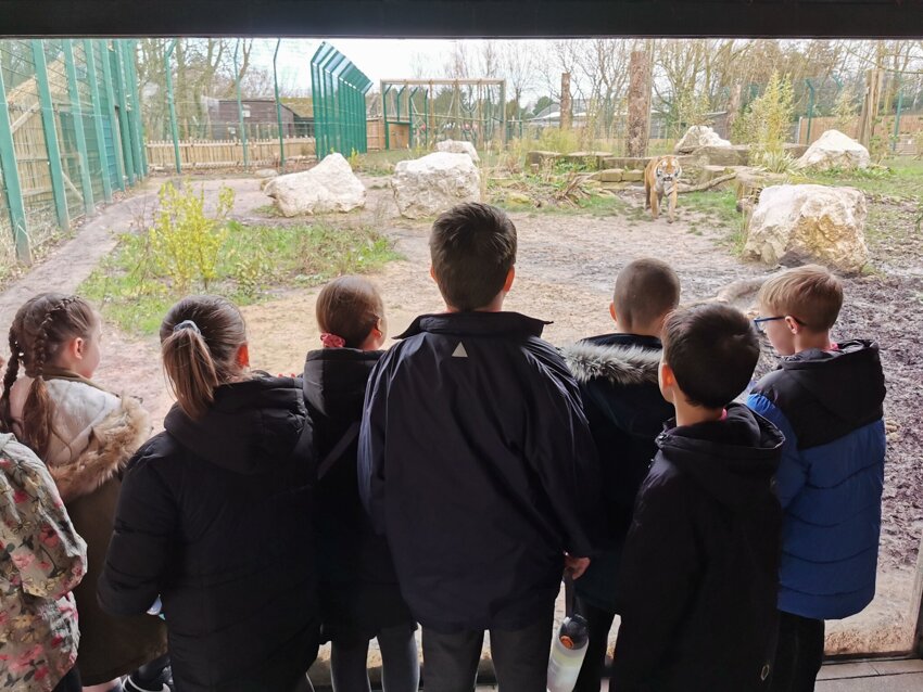 Image of Orienteering around Blackpool Zoo